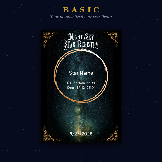 ⭐ BASIC DIGITAL STAR PACKAGE